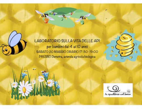 LABORATORIO SULLE API!